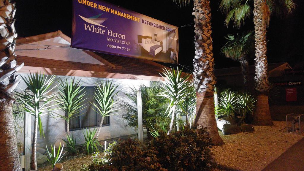 White Heron Motor Lodge Gisborne Bagian luar foto