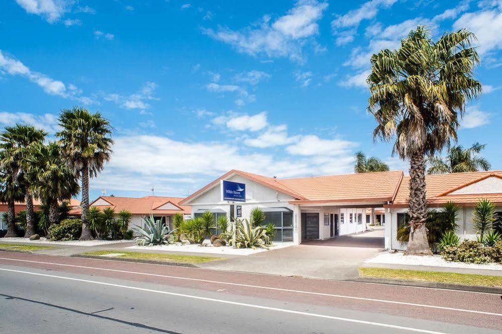 White Heron Motor Lodge Gisborne Bagian luar foto